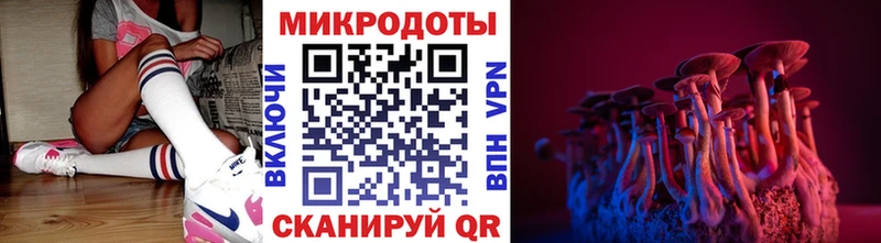 Галлюциногенные грибы прущие грибы  Купить  Бежецк 